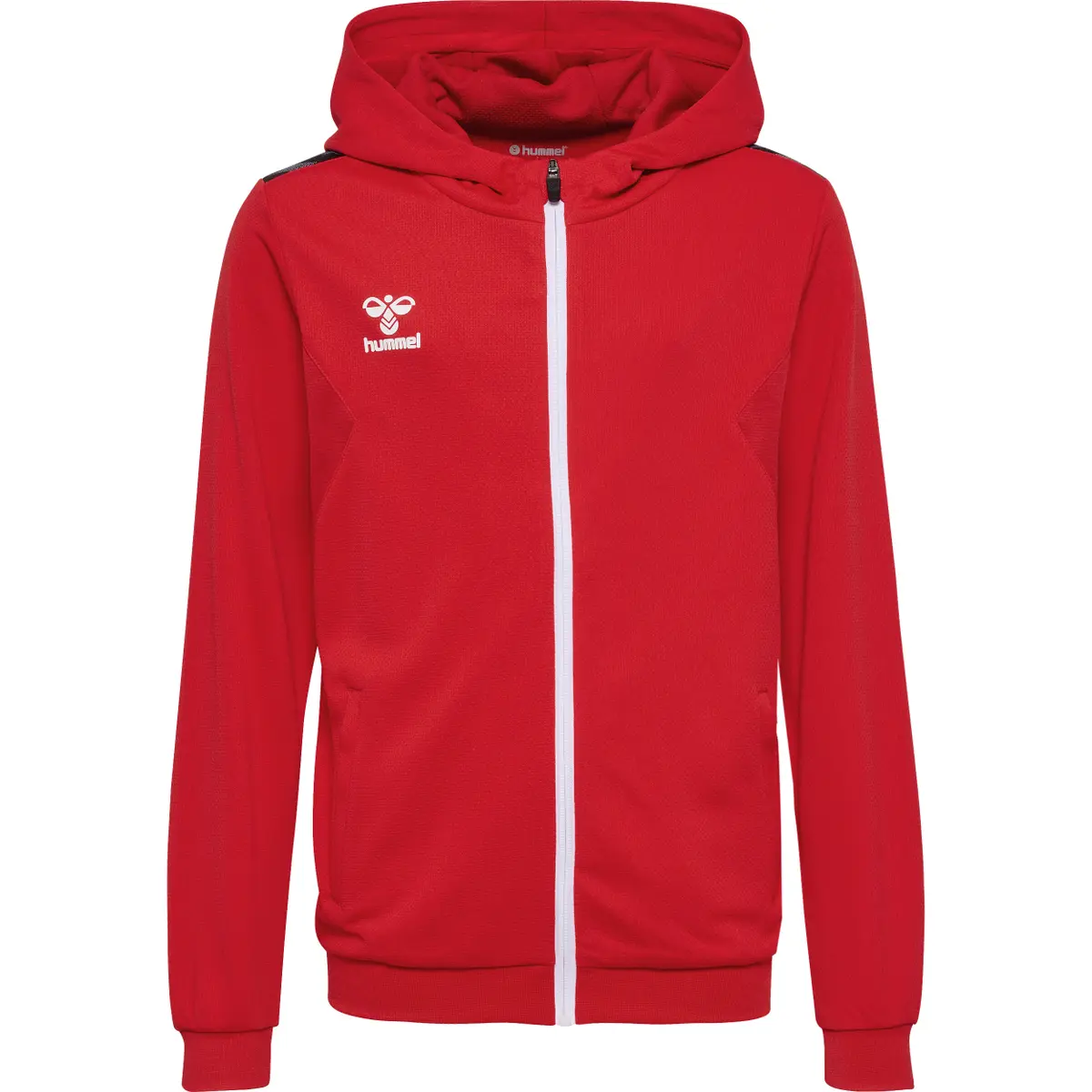 handball-store1-4617379
