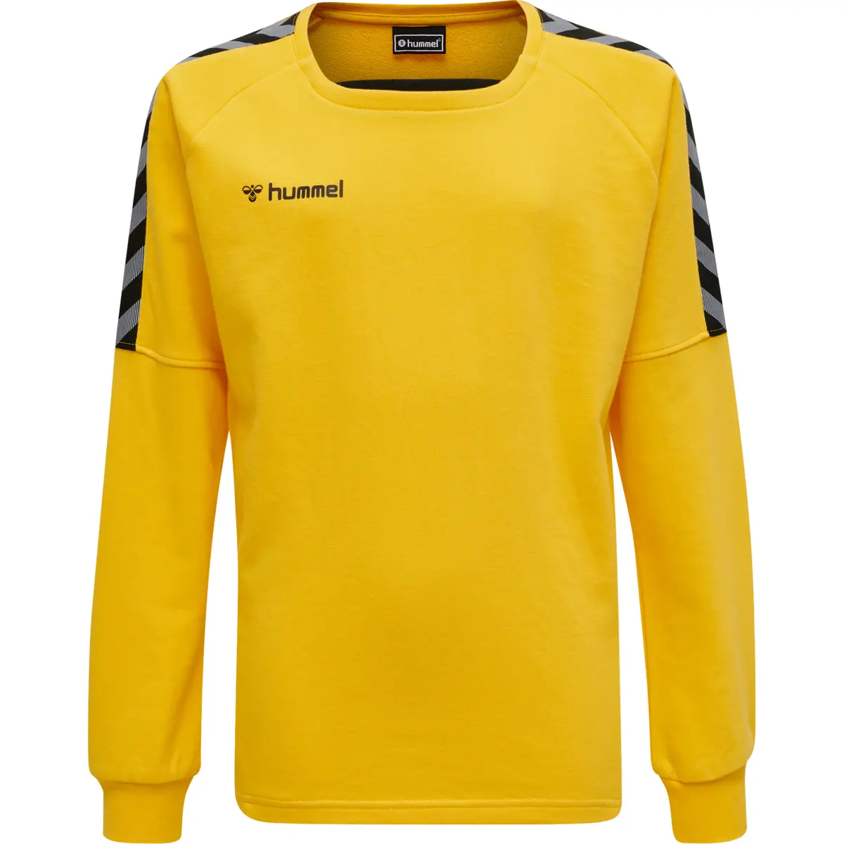 handball-store1-4683525