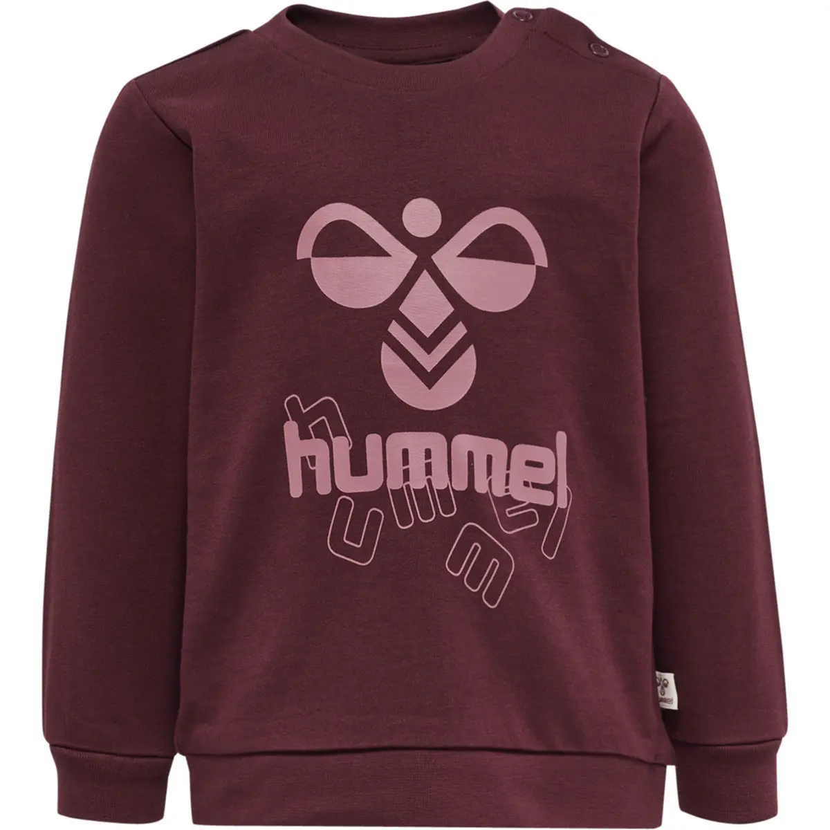 handball-store1-4684403