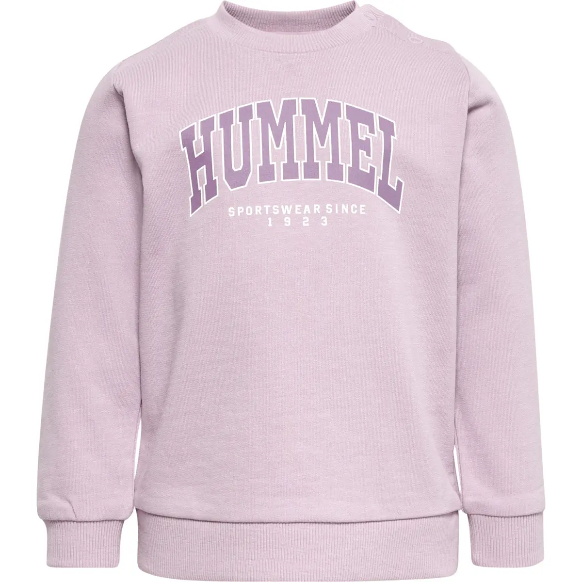 handball-store1-4694870