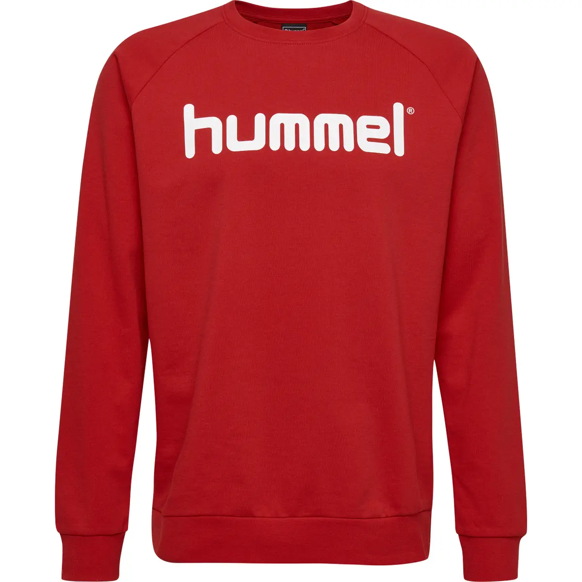 handball-store1-4695917