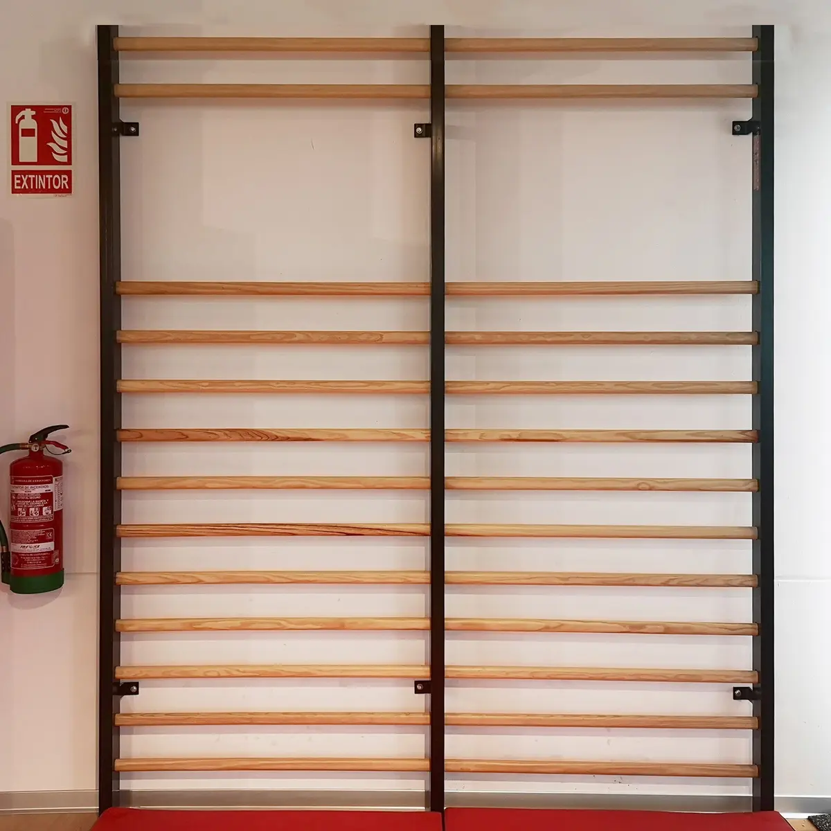 handball-store1-4702989