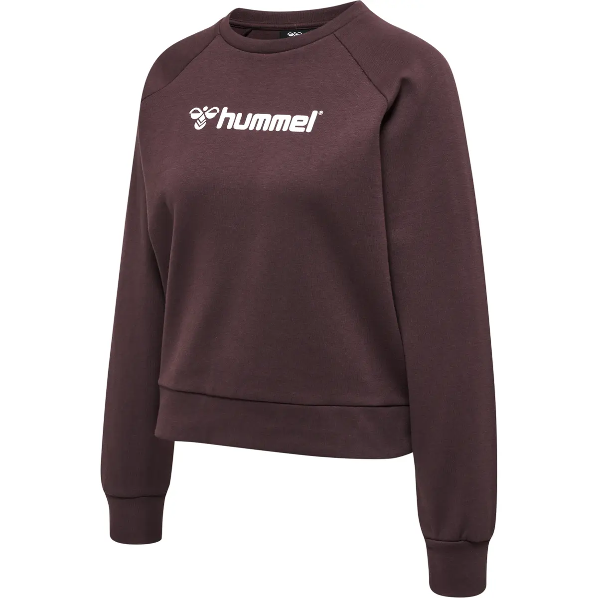 handball-store1-4705350