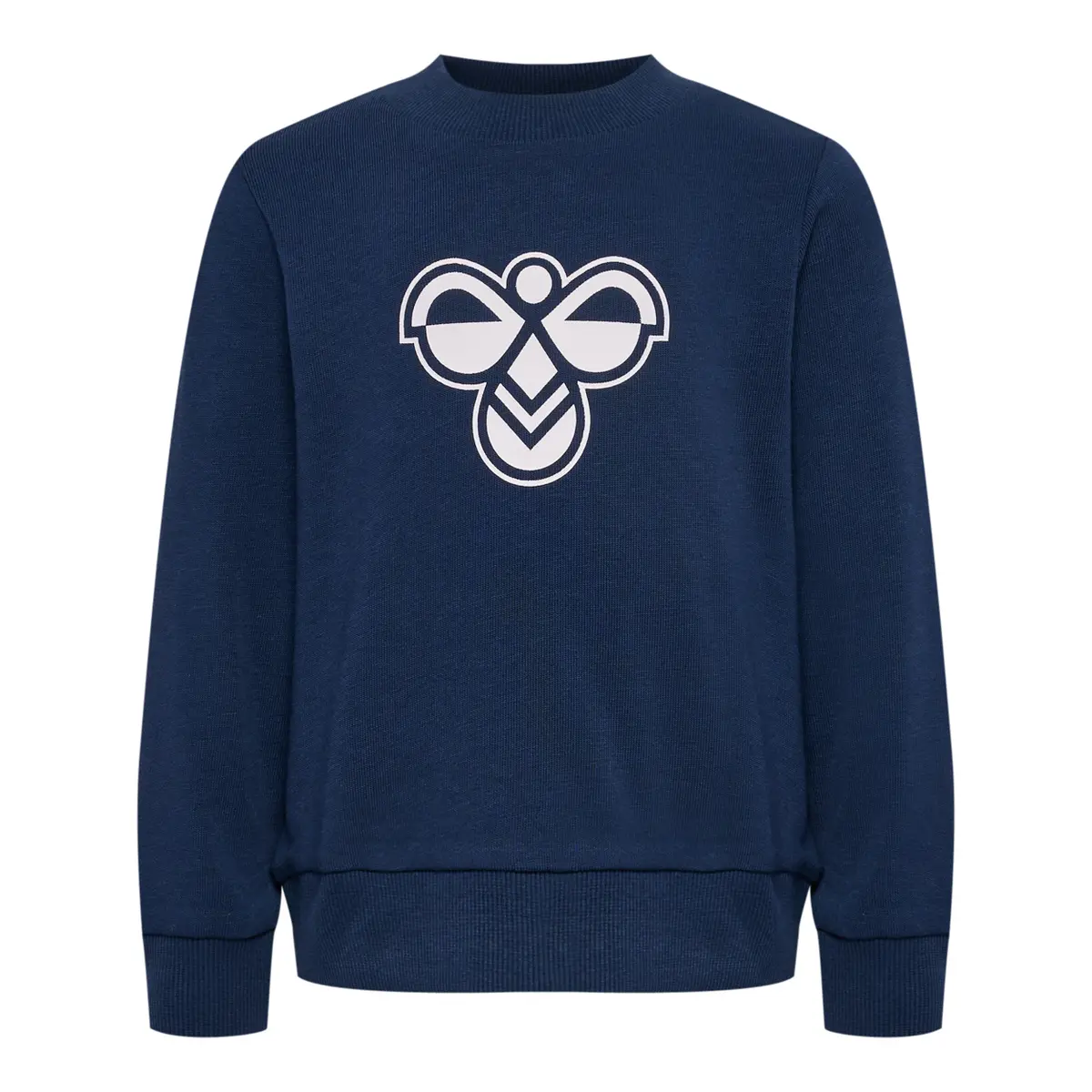 handball-store1-4711246