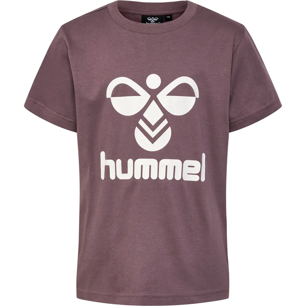 handball-store1-4727839
