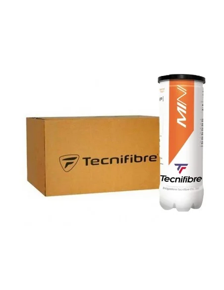 tennispro-4605163