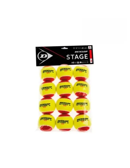 tennispro-4605885