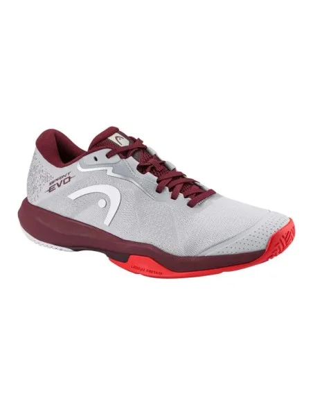 tennispro-4619187